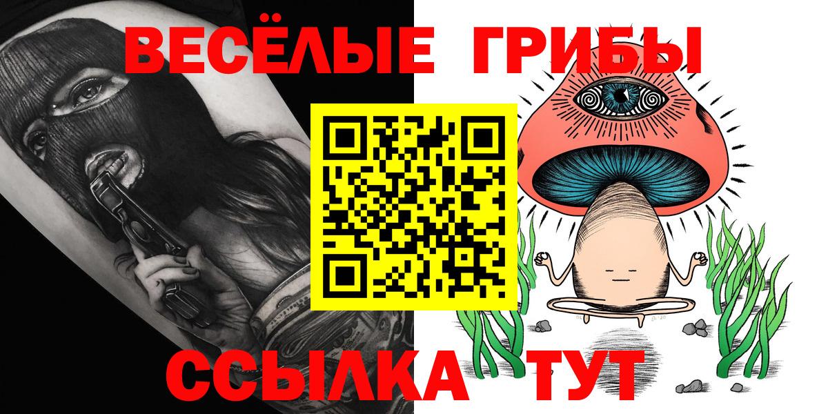 Галлюциногенные грибы Psilocybe Евпатория