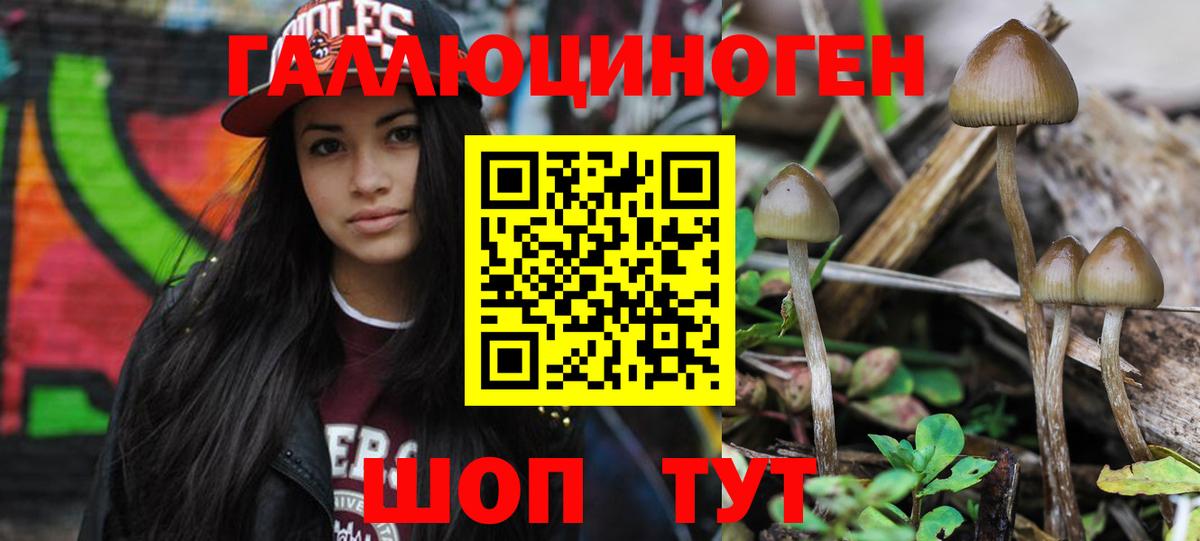 Евпатория  Псилоцибиновые грибы MAGIC MUSHROOMS  Псилоцибиновые грибы мицелий  Вход с VPN 